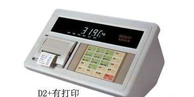 带打印称重仪表
